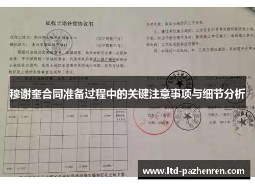 穆谢奎合同准备过程中的关键注意事项与细节分析