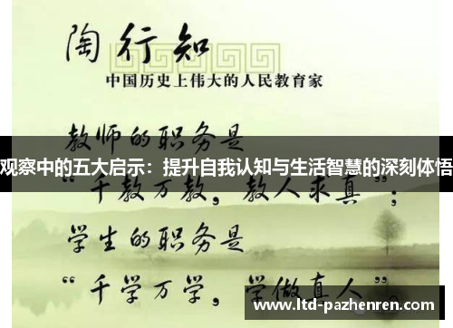 观察中的五大启示：提升自我认知与生活智慧的深刻体悟