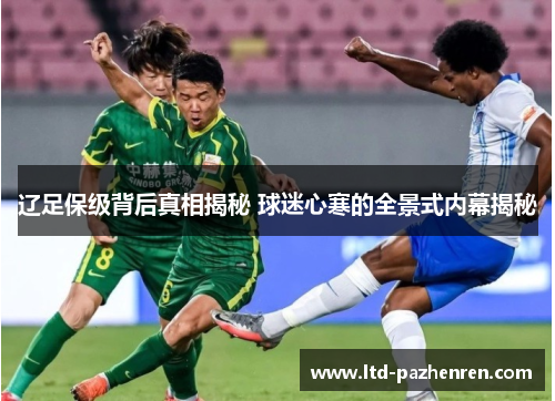 辽足保级背后真相揭秘 球迷心寒的全景式内幕揭秘