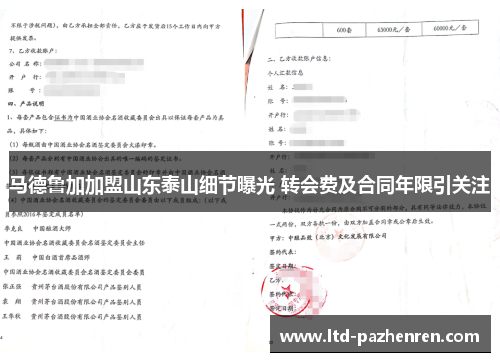 马德鲁加加盟山东泰山细节曝光 转会费及合同年限引关注