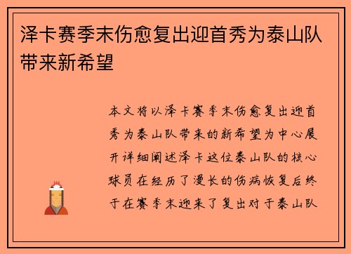 泽卡赛季末伤愈复出迎首秀为泰山队带来新希望